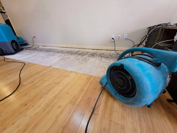 Professional Sewage Cleanup technician working in Jackson Center, PA